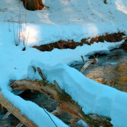 Vermont