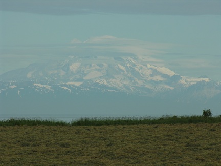 DSCN1564